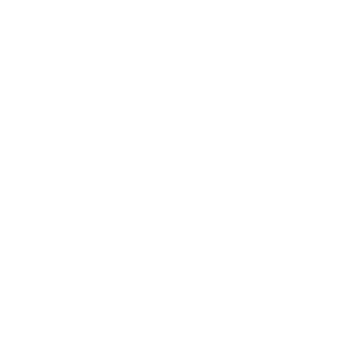URSUS